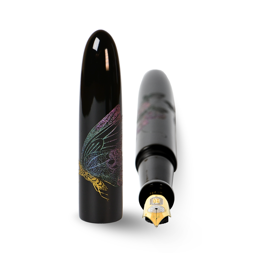 Cigar+ Chinkin Butterfly Morning glory 雪茄+-戧金